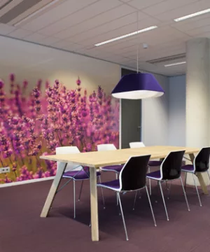 De Meergroep