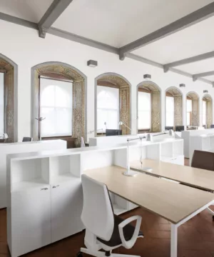 Istituto Universitario Europeo Villa Salviati