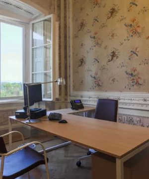 Istituto Universitario Europeo Villa Salviati