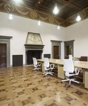 Istituto Universitario Europeo Villa Salviati