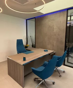Plan Office Showroom